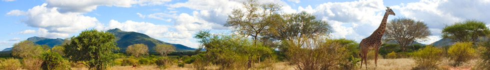 Parc National du Mont Kenya