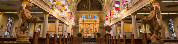 cathedrale saint louis