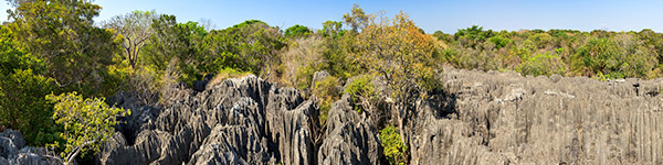 reserve naturelle du tsingy de bemaraha
