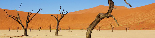 Desert-de-namib