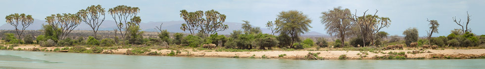 Reserve-nationale-de-samburu