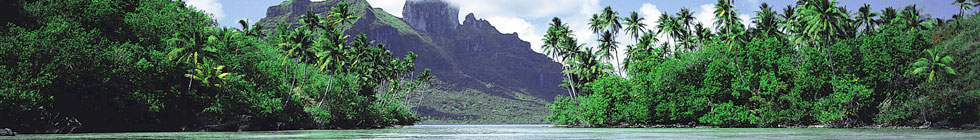Bannière polynesie-francaise