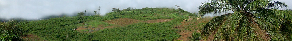 Parc national Outamba-Kilimi