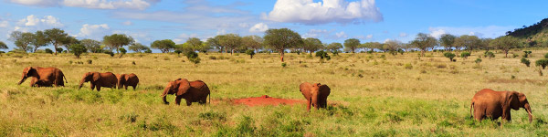 parc national du mont kenya