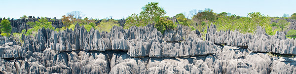 reserve naturelle du tsingy de bemaraha