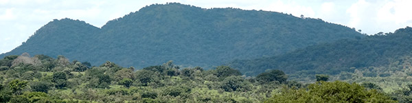 parc national outamba kilimi
