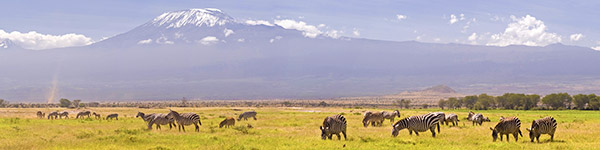 parc national du mont kenya