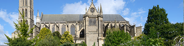 cathedrale saint etienne