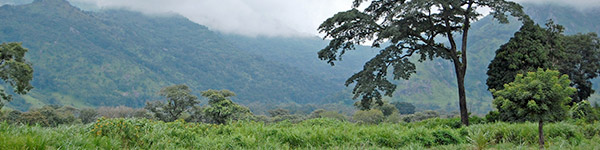 parc national outamba kilimi